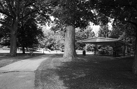 This is an image of a park shelter in Hastings