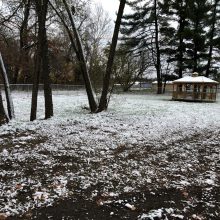 This is a photo of Hastings Dog Park