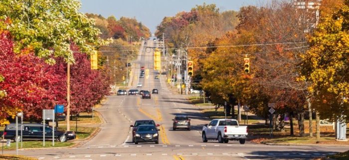 This is an image of a street in Hastings Michigan