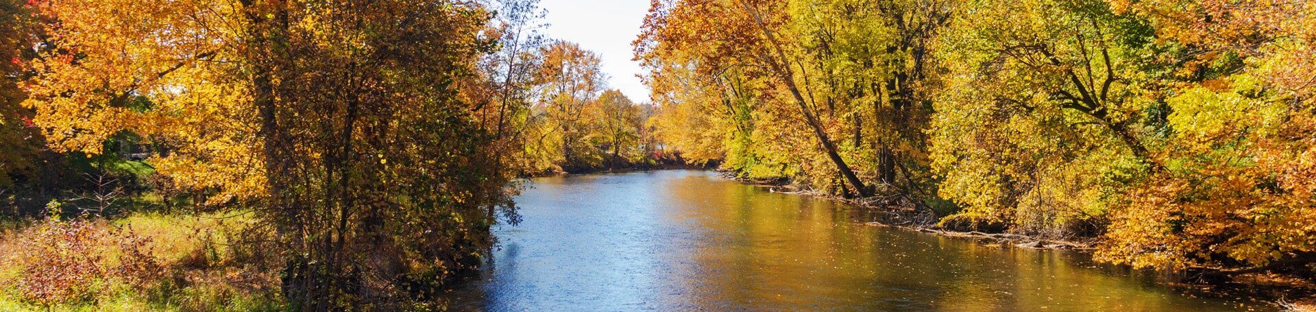 This is an image of a river in Hastings